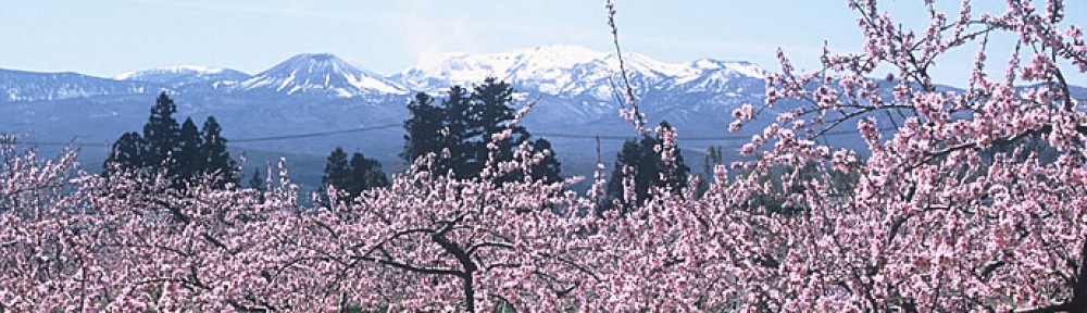 KemecoNews福島市