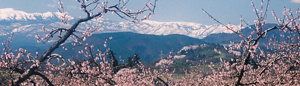 KemecoNews福島市